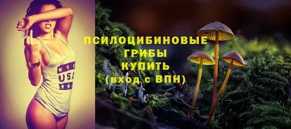 PSILOCYBIN Бугульма